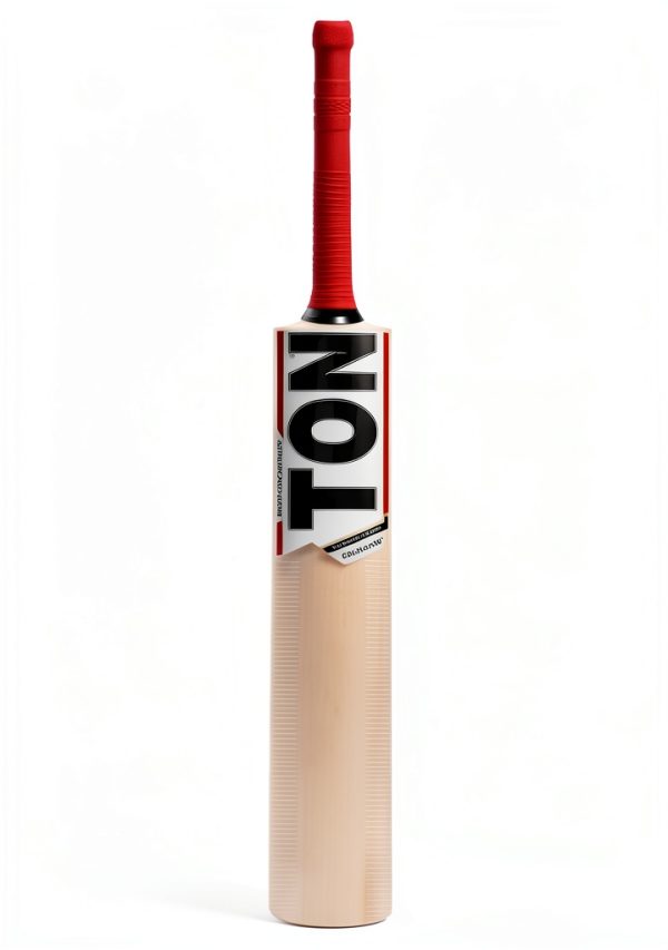 Kashmir Willow Cricket Bat SS Ton Revolution Men's-1