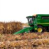 Dried Corn Single A Corn Wildlife Feed Farm Fresh 14x10x2 in-4