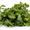 Imperial Clover Whitetail Institute Antler-Building Feed 4‑Pound Pack-4