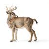 Imperial Clover Whitetail Institute Antler-Building Feed 4‑Pound Pack-6
