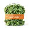 Imperial Clover Whitetail Institute Antler-Building Feed 4‑Pound Pack-9