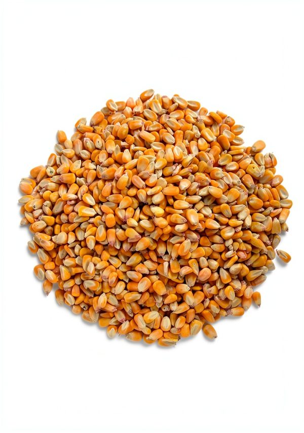 Dried Corn Single A Corn Wildlife Feed Farm Fresh 14x10x2 in-3